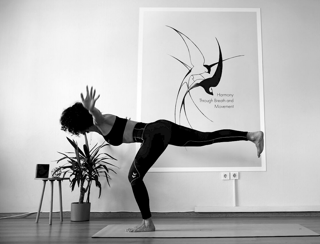 Didem Kısaoğlu - Moda Tasarımı - Yaşam Tasarımı