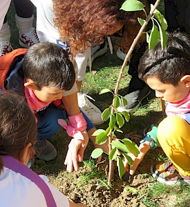 Mutlu Onkoday Park Karnavalı / Bursa